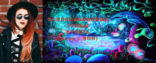 ГАЛЛЮЦИНОГЕННЫЕ ГРИБЫ Аркадак