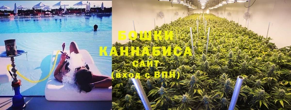 ГАЛЛЮЦИНОГЕННЫЕ ГРИБЫ Аркадак