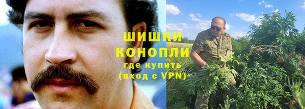 ГАЛЛЮЦИНОГЕННЫЕ ГРИБЫ Аркадак