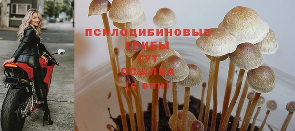 гидропоника Россошь