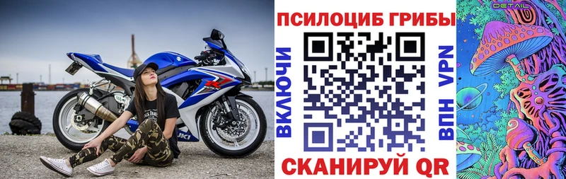 магазин продажи   Свирск  Галлюциногенные грибы прущие грибы 
