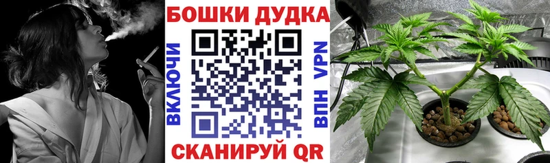 как найти закладки  Свирск  Конопля марихуана 